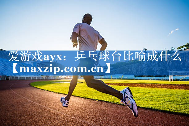 爱游戏ayx：乒乓球台比喻成什么