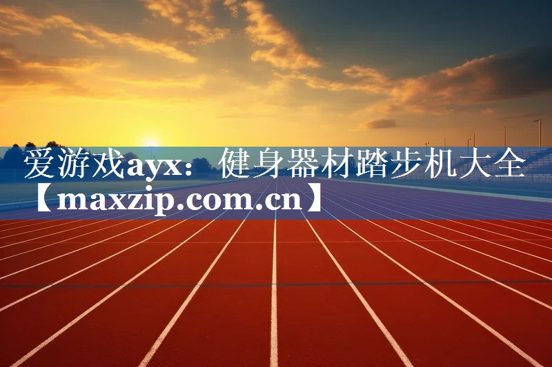 爱游戏ayx：健身器材踏步机大全