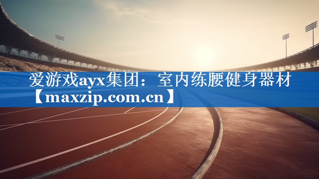 爱游戏ayx集团：室内练腰健身器材