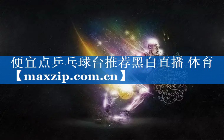 便宜点乒乓球台推荐黑白直播 体育
