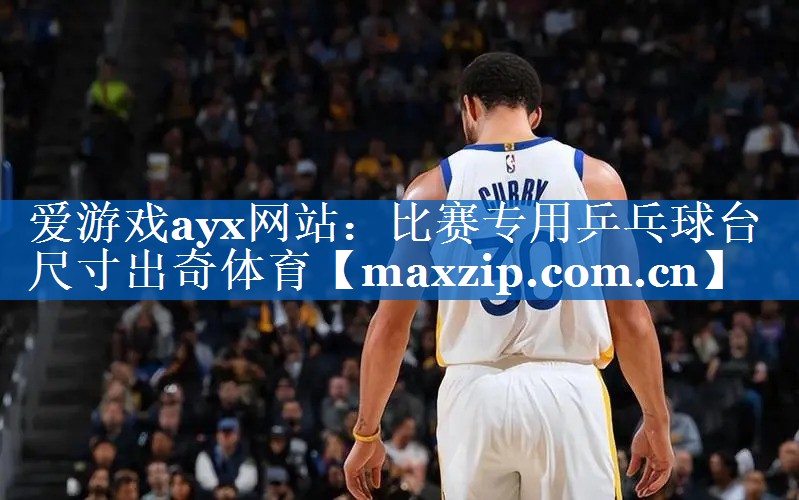 爱游戏ayx网站：比赛专用乒乓球台尺寸出奇体育